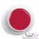 Acryl Farb Pulver Red 305