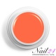 Acryl Farb Pulver Orange 307