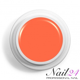 Acryl Farb Pulver Orange 307