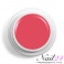 Acryl Farb Pulver Pink 308