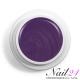 Purple 504