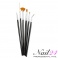 Luxus Nailart Pinsel Set