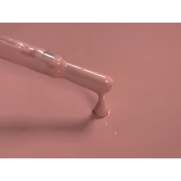 011 Light Salmon